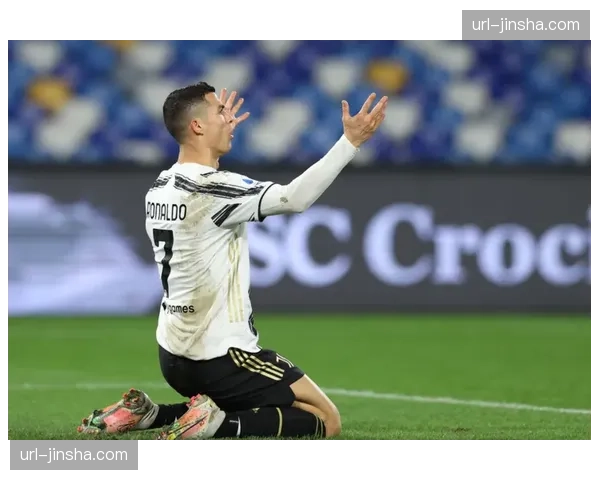 意甲考虑引入“奢侈税”,以平衡各队薪资差距 意甲考虑引入“奢侈税”,以平衡各队薪资差距